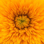 v2osk-pQ7GIGO6esE-unsplash