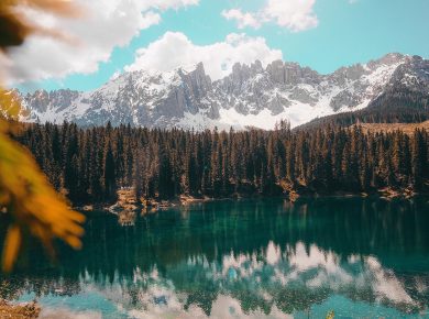cristina-gottardi-GJ8ZQV7eGmU-unsplash